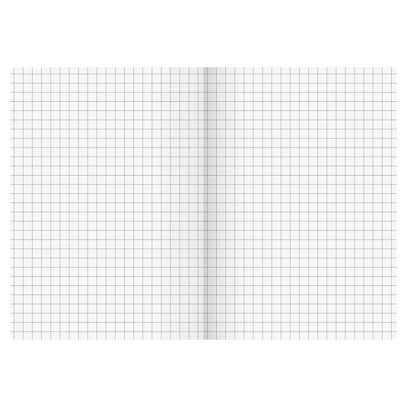 BRUNNEN FACT!plus notitieboek A6 geruit 96 blad bruin