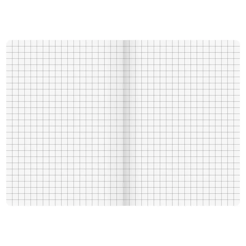 BRUNNEN FACT!plus notitieboek A5 geruit 96 blad zwart