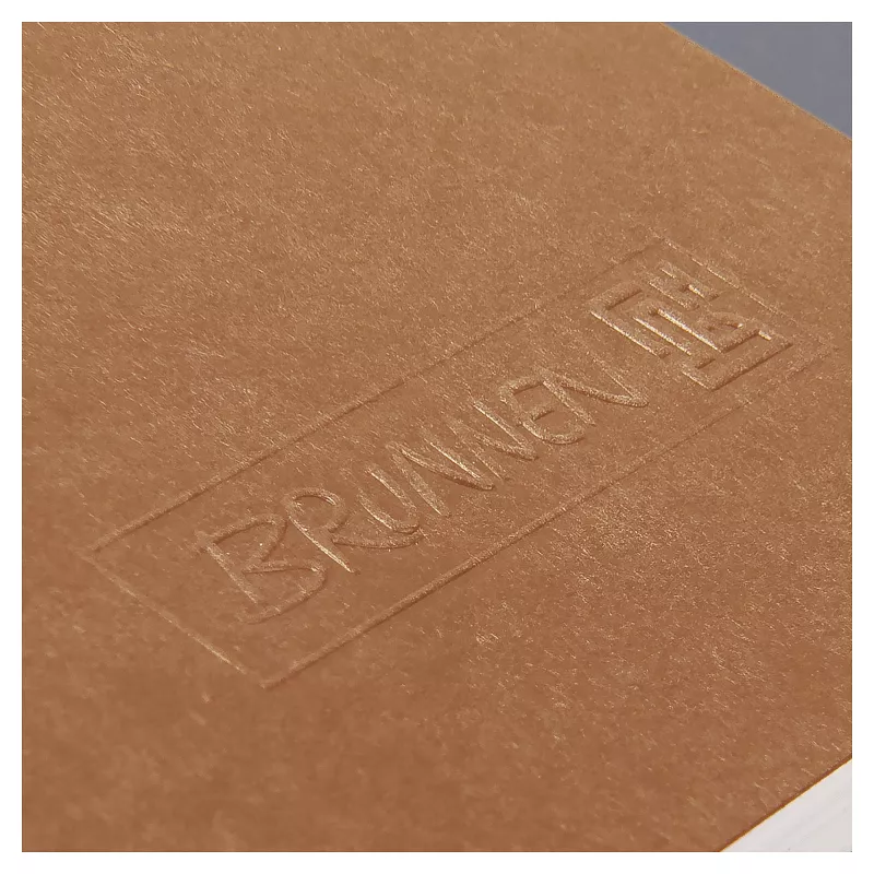 BRUNNEN FACT!plus notitieboek A4 geruit 96 blad bruin 104347270