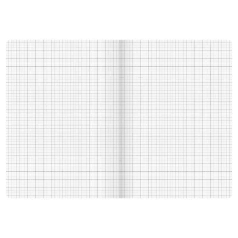 BRUNNEN FACT!plus notitieboek A4 geruit 96 blad bruin 104347270