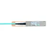BlueOptics QSFP28-100G-AOC-30M Active Optical Cable 30m compatibel met Ruckus