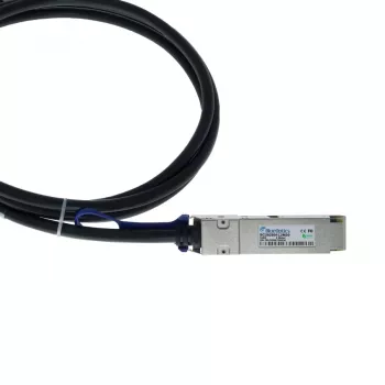 BlueOptics Ruckus 100G-Q28-Q28-C-00501 Compatibele BlueLAN DAC QSFP28 Passieve Twinax-koperkabel 0,5 m (1,64 ft) 30 AWG zwart