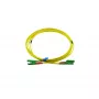 BlueOptics Duplex glasvezel-patchkabel E2000-APC/E2000-APC OS2 singlemode 2m groen