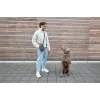 PALOPA 2-in-1 hondensnoeptas en flessenhouder Boudi Dark Olive