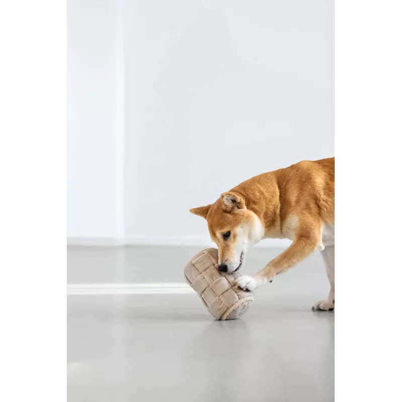 PALOPA Kalpi Out Milk snuffelspeelgoed voor honden cilindrische rol