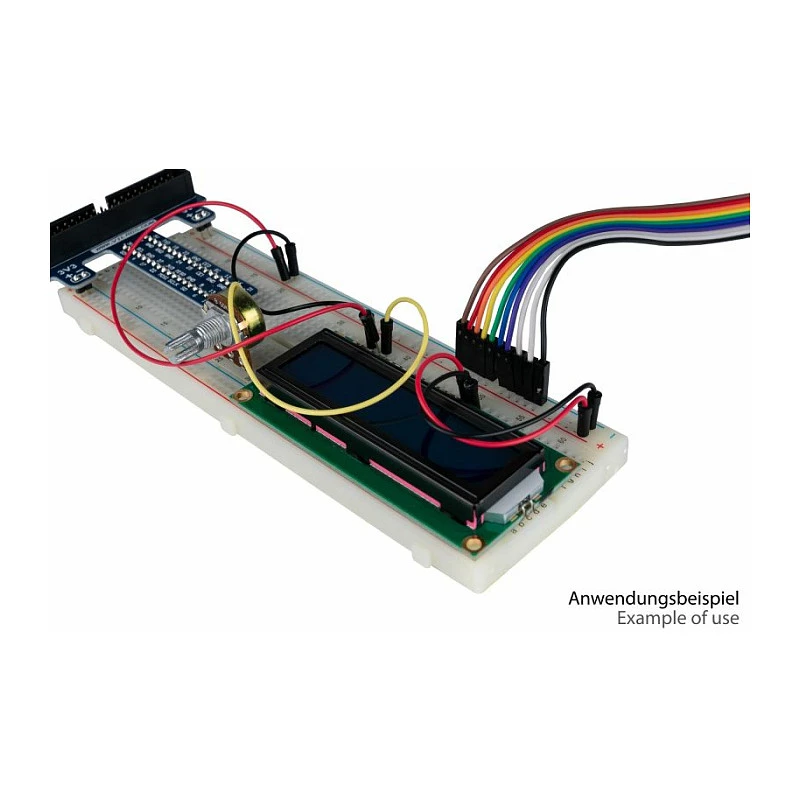 kabelmeister jumper wire 40-pin scheidbare draden voor Arduino, Raspberry Pi enz., male naar female