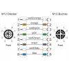 METZ CONNECT 142M2X12020 - 2 m - Cat6a - M12 - M12 - groen
