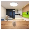 Mad Monkey antistressbal Worlds Smallest Willy