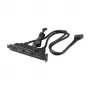 Akasa USB 3.1 Gen 2 interne adapterkabel met twee USB 3.0 Type-A aansluitingen - 50 cm - zwart