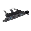 Akasa USB 3.1 Gen 2 interne adapterkabel met twee USB 3.0 Type-A aansluitingen - 50 cm - zwart
