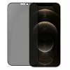 Evelatus Apple iPhone 12/12 Pro 6,1 inch Privacy 2.5D Silk Full Cover Japan Glue Anti-Static Screenprotector