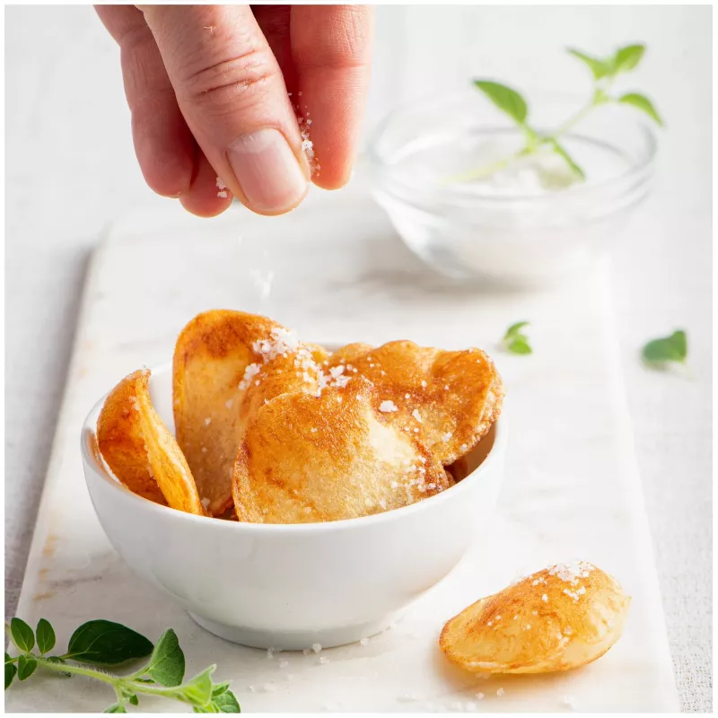 FRITEL friteuse Turbo SF 4 liter roestvrij staal