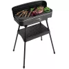 FRITEL Starter BBQ 2246 elektrische grill met standaard, 2200 W, zwart
