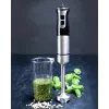 Gastronoma 18210001 Staafmixer, 1000 W, zwart/zilver