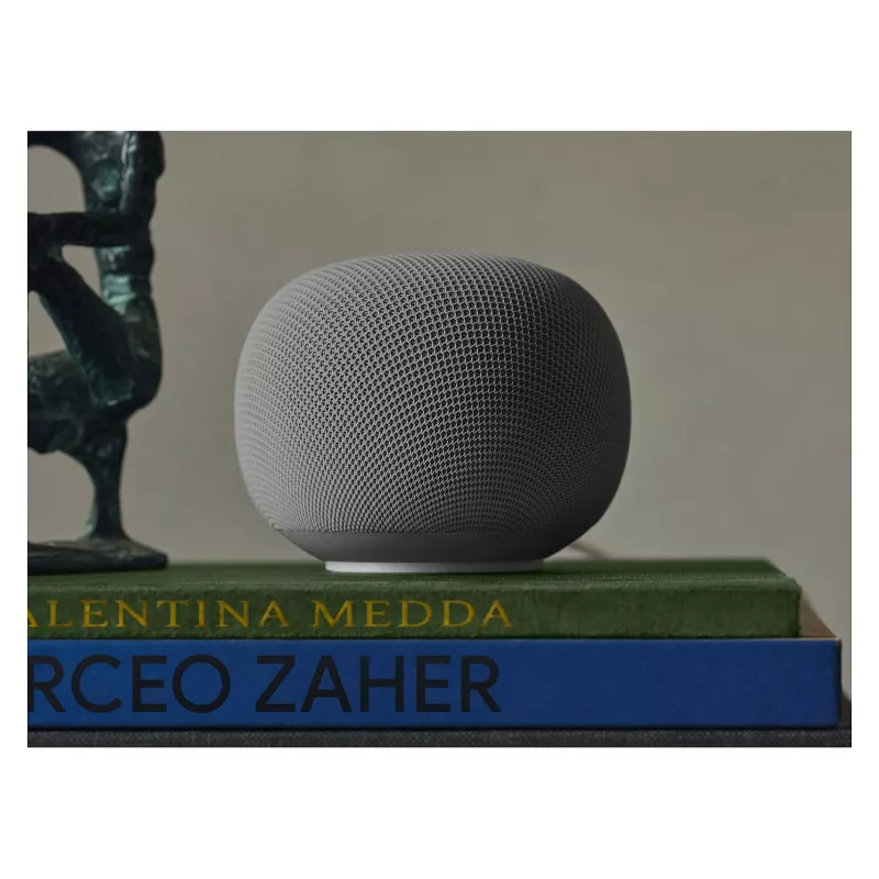 Google Home Speaker hazel EU