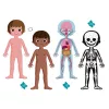 Janod Human Body 50, 75 en 100-delige educatieve legpuzzelset