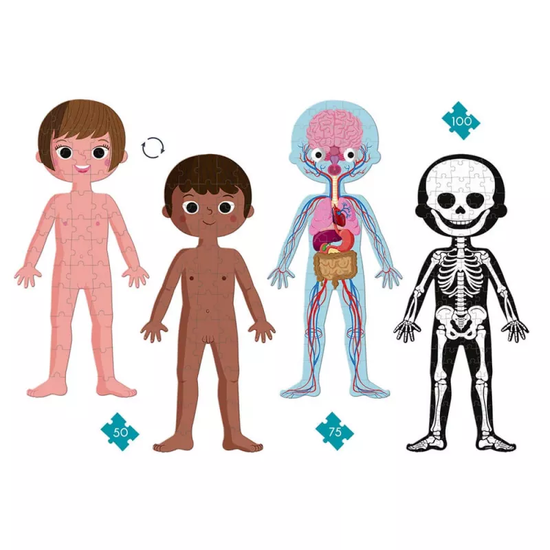 Janod Human Body 50, 75 en 100-delige educatieve legpuzzelset