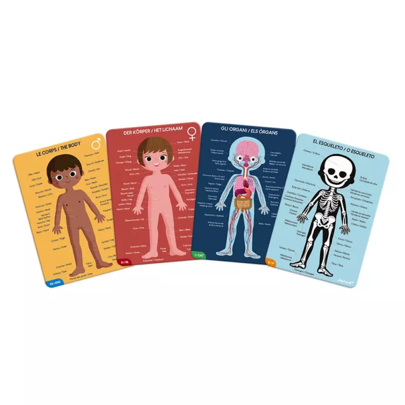 Janod Human Body 50, 75 en 100-delige educatieve legpuzzelset