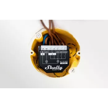 Shelly Wave 2PM EU LR Z-Wave slimme lichtschakelaar 2-kanaals met energiemeting