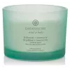 Chesapeake Bay Candle Balance & Harmony grote geurkaars 3 lonten 312 g