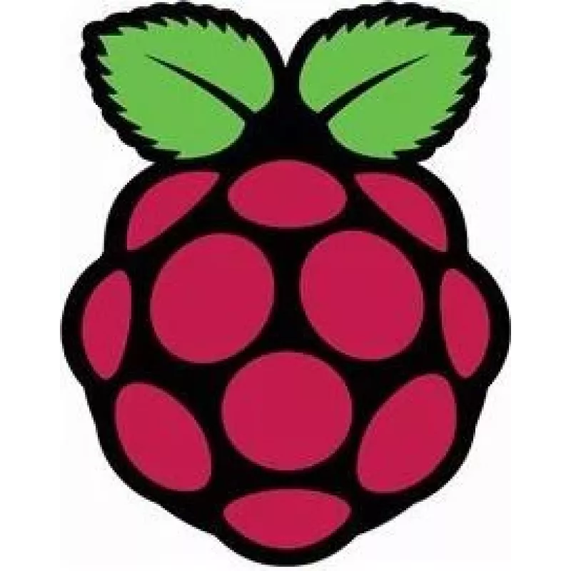 Raspberry Pi Pi - LCD-monitor - 39,6 cm (15,6 inch) - 1920 x 1080 Full HD (1080p)