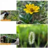 Ulanzi 75mm Super Macro telelens voor smartphone, 1678