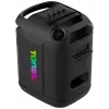 Tonsil Party Dance 800 draagbare Bluetooth-partyluidspreker met karaoke, disco-led, 80 W RMS, 2x8 inch woofers, zwart