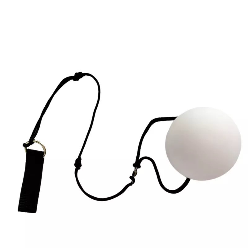 LEAN TOYS Jongleerballen fiber optic LED 2 kleuren