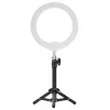 Newell LED Ring Light RL-10A Arctic White + statief