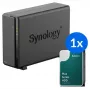 Synology DS124 + 1x HAT3310-12T (12TB) 1-bay NAS desktop