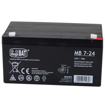 LEAN CARS voertuig-gel-accu voor 24V7AH accu