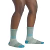 Darn Tough Mountaineering Micro Crew Heavyweight Full Cushion damessokken - Reed, maat L