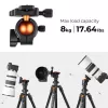 K&F Concept K234A0 + BH-28L statief