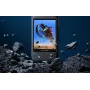 Insta360 X3 Screenprotector