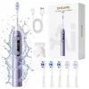 Dreame E10F Sonische Tandenborstel, Set, violet