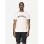 Devold Classic Legacy Tee Merino Wool T-shirt - white maat L