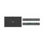 Kramer Electronics SWT3-21-HU-TR 2x1 USB-C/HDMI-switch-extender 4K@60Hz HDBaseT 3.0