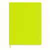 Moleskine Classic notebook hardcover A4 blanco lichtgroen