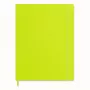 Moleskine Classic notebook softcover A4 blanco lichtgroen