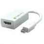 TECHLY mini DisplayPort naar HDMI-adapter 1080p 60Hz Thunderbolt