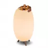 New Garden APOLO 70 oplaadbare lamp