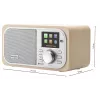 GOGEN IR237BTDAB internetradio met DAB+, FM, Bluetooth, Wi-Fi en 2,4 inch kleuren-LCD-display