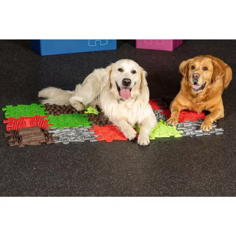 Muffik orthopedische sensorische matten set 8-in-1 voor honden MFK-069