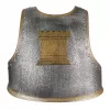 Souza! Roland Knight borstplaat kinderkostuum accessoire