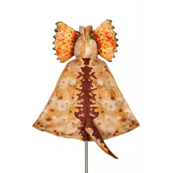 Souza! Dilophosaurus dinosaurus cape-kostuum met capuchonmasker voor kinderen 4-7 jaar