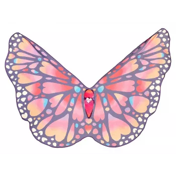 Souza! Vlindervleugels papillon kostuumvleugels voor kinderen