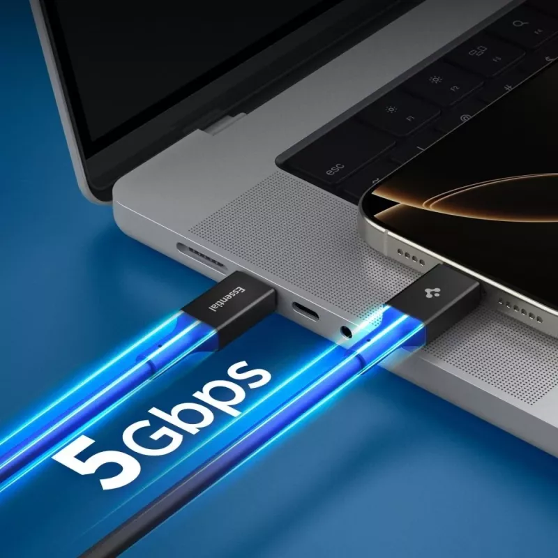 SPIGEN EB10020CC Essential USB-C naar USB-C kabel 100W 200cm zwart
