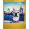 Polaroid Go / Go Gen 2 instantfilm - 16 opnamen - gouden rand