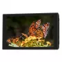 Portkeys HD7T 7 inch 2200 cd/m² IPS On-Camera Monitor met 3D LUT