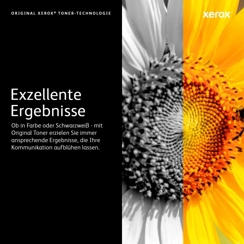Xerox Phaser 7100 originele tonercartridge geel